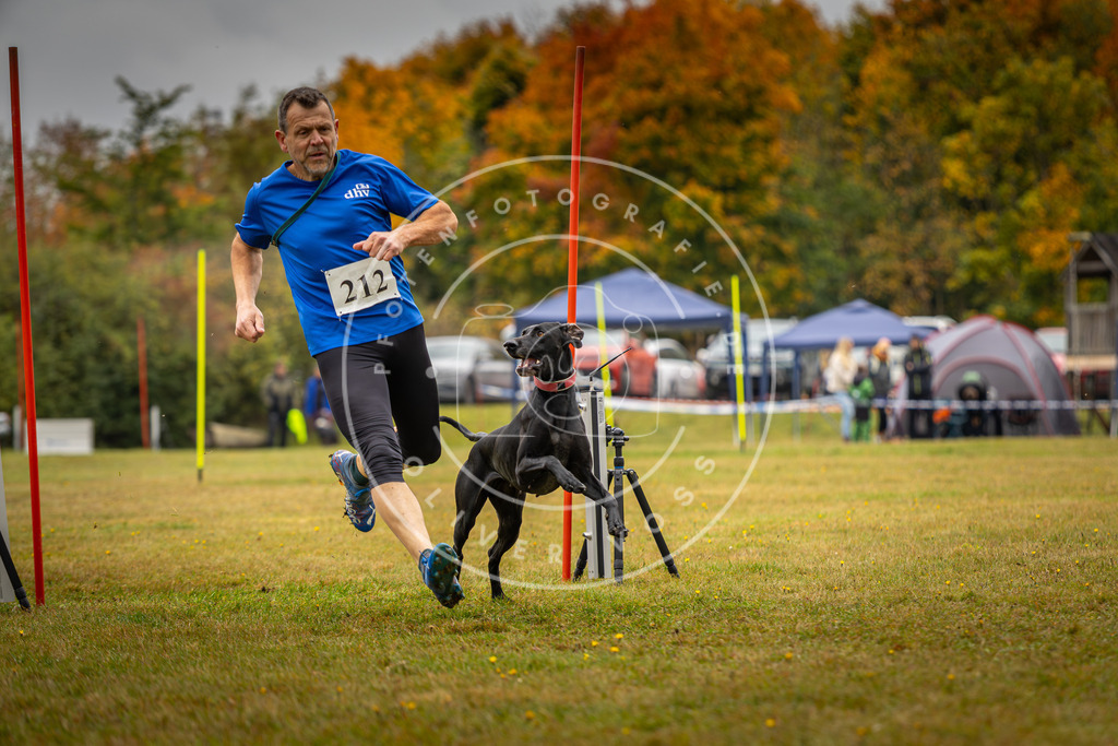 Pfotenfotografie_DV3A2437 | Hundefotografie, Tierfotograf, Pfotenfotografie, Fotoshooting Hund, Hunde Portrait, Hundesport, Hundeportraits, Heideshooting, Hunde, Sportfotograf, Hundefotograf, Turnierhundsport, THS,  - Realisiert mit Pictrs.com