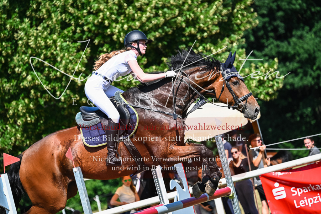 DSC_1700 | Pferde- und Turnierfotografie in Westsachsen. Pferdeportraits, Auftragszeichnungen und intuitive Kunst.