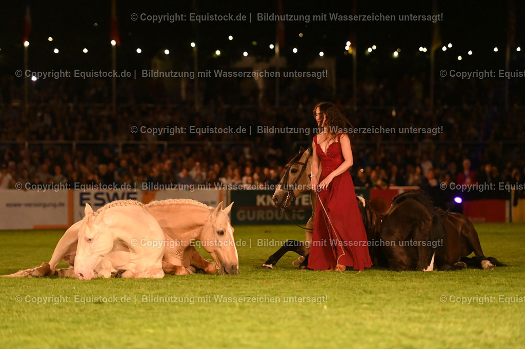 20230526_Pferdenacht_1549 | equistock