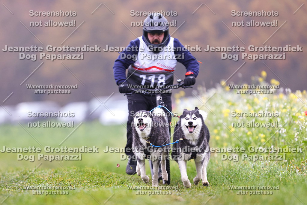 Dog Paparazzi - Visbeck 25 -131 | Dog Paparazzi Jeanette Grottendiek Fotografie & Videografie - Realisiert mit Pictrs.com