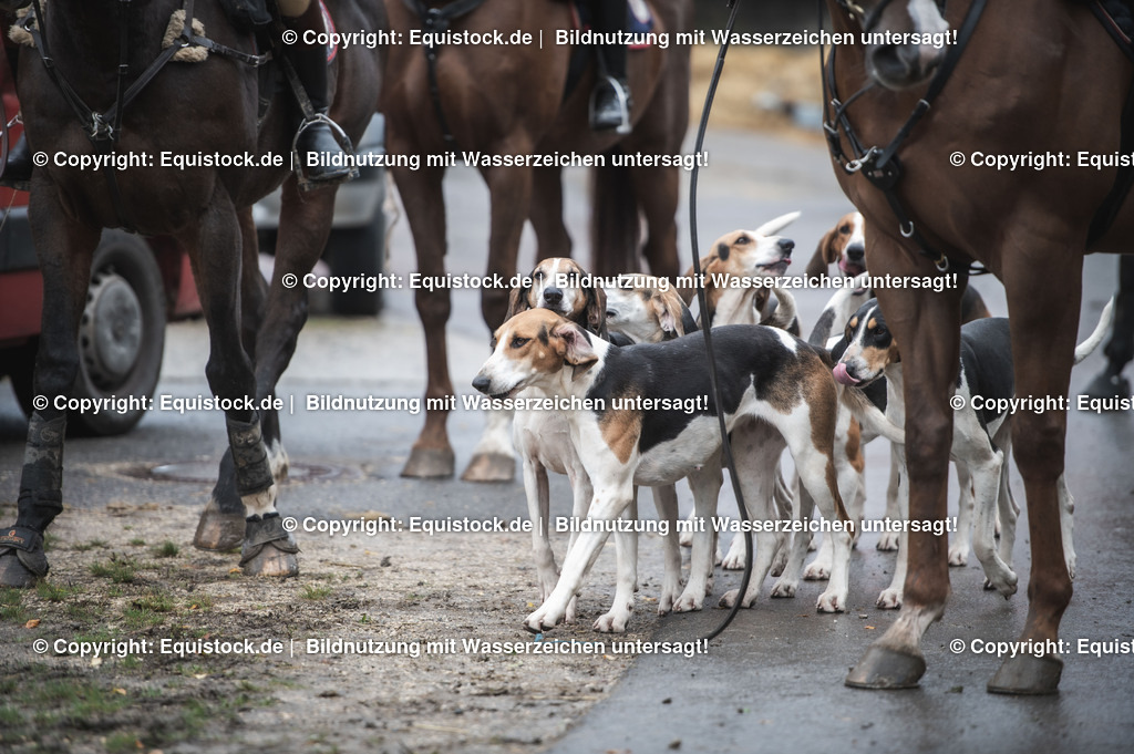 20241013_Jagd-Marbach_0133 | Foto: Thomas Hartig