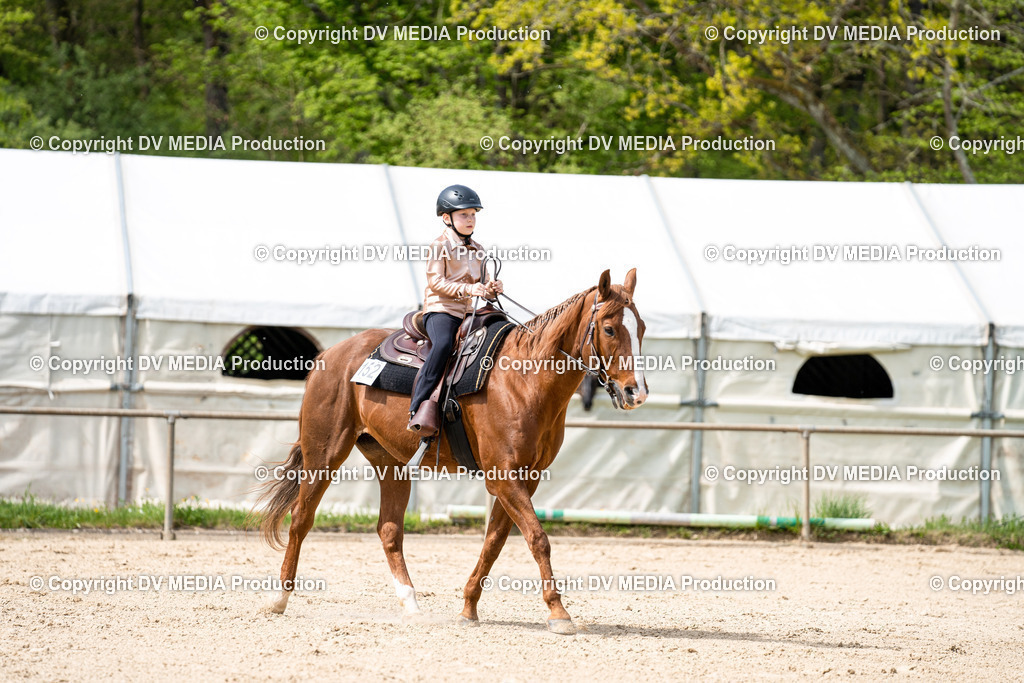 Heiligenwald Tag 2-670 | dv-media-shop - Realisiert mit Pictrs.com