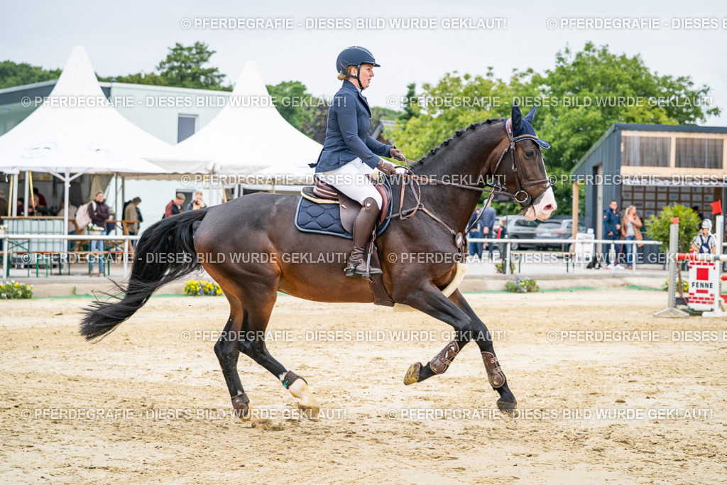 DSC02456 | Pferdegrafie