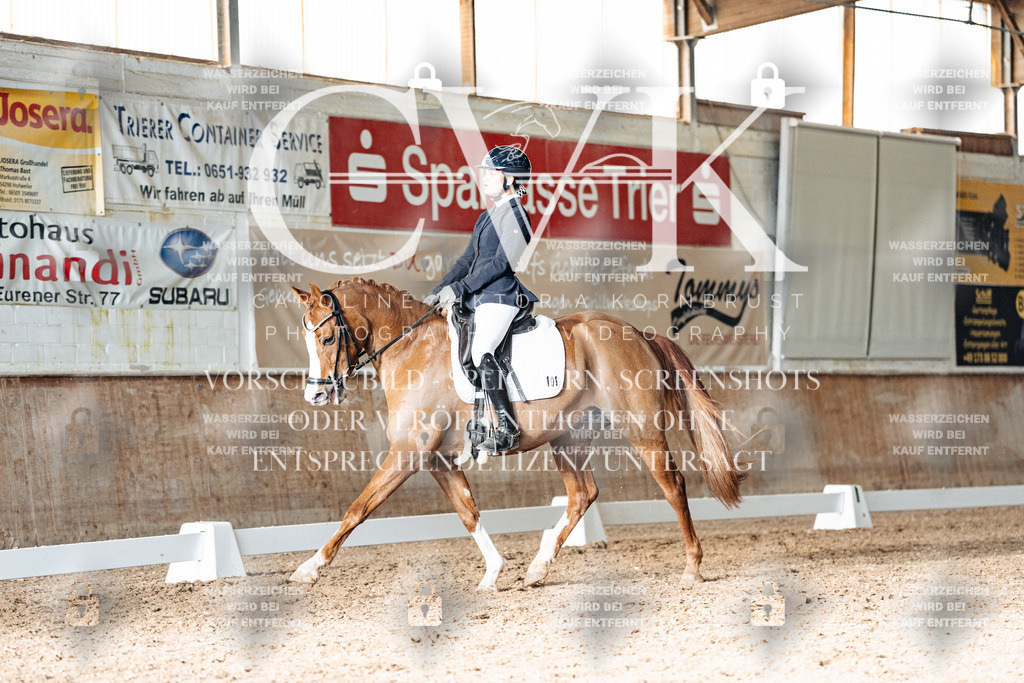 CK903009 | Turnierfotografie Pferdefotografie Trier Rheinland-Pfalz Pferdesport Reitsport Tierfotografie Sportfotografie Pferdevideo Pferdevideografie Equestrianvideography equestrianphotography  - Realisiert mit Pictrs.com