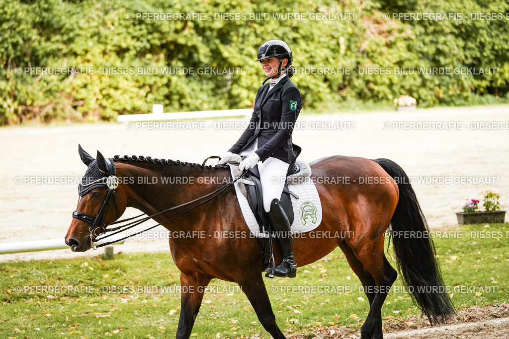 DSC02117 | Pferdegrafie