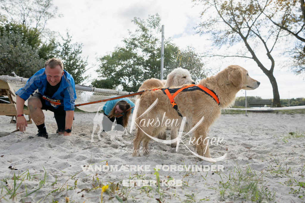 1312_ZZ95815 | kk-dogfotos