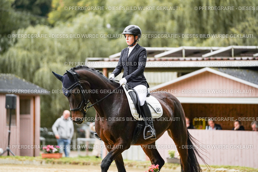 DSC06321 | Pferdegrafie