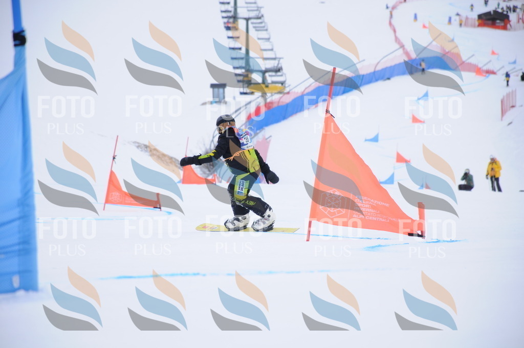 DSC_0038 | holidayphoto