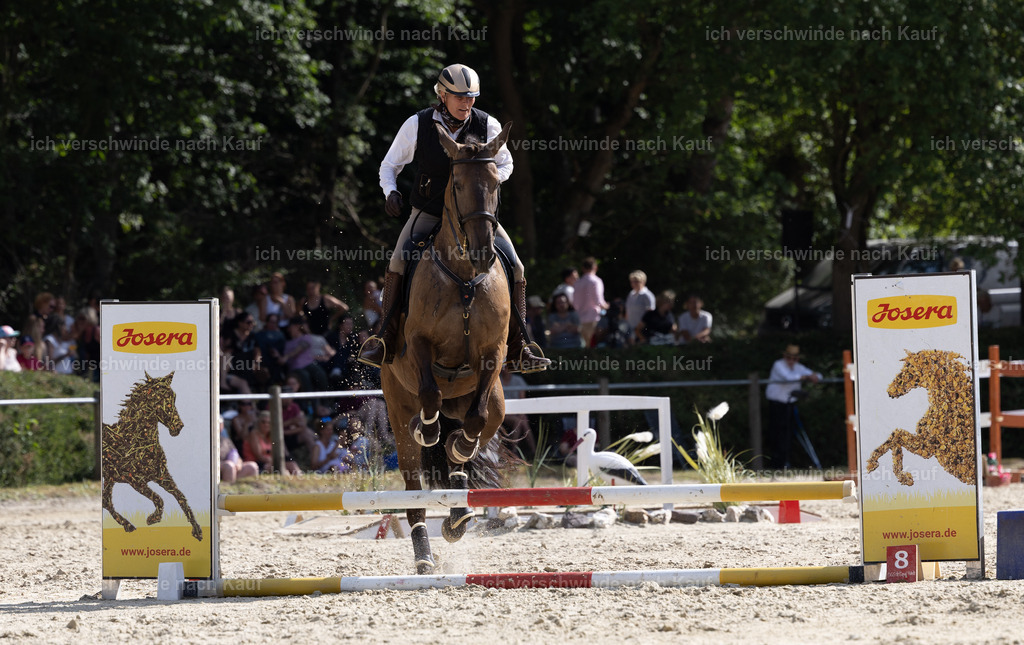 WS_SPEED_60_KerstinBernhardt-11 | working equitationturnier fotograf videograf stoibphotography marixx film working equitation deutschland reitsport turnierfotografie eventfotografie equestrian events