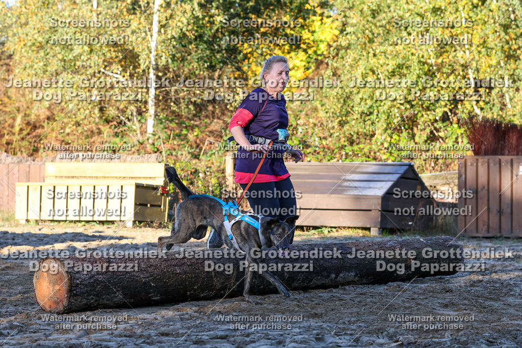 Dog Paparazzi - Strongdog 10-25-772 | Dog Paparazzi Jeanette Grottendiek Fotografie & Videografie - Realisiert mit Pictrs.com