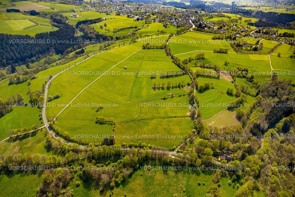 Monschau240502199 | Luftbild, Wiesen und Felder, Baumreihen auf einer Wiese, Baumallee an der Schleidener Straße mit Blick nach Höfen, Monschau, Nordrhein-Westfalen, Deutschland