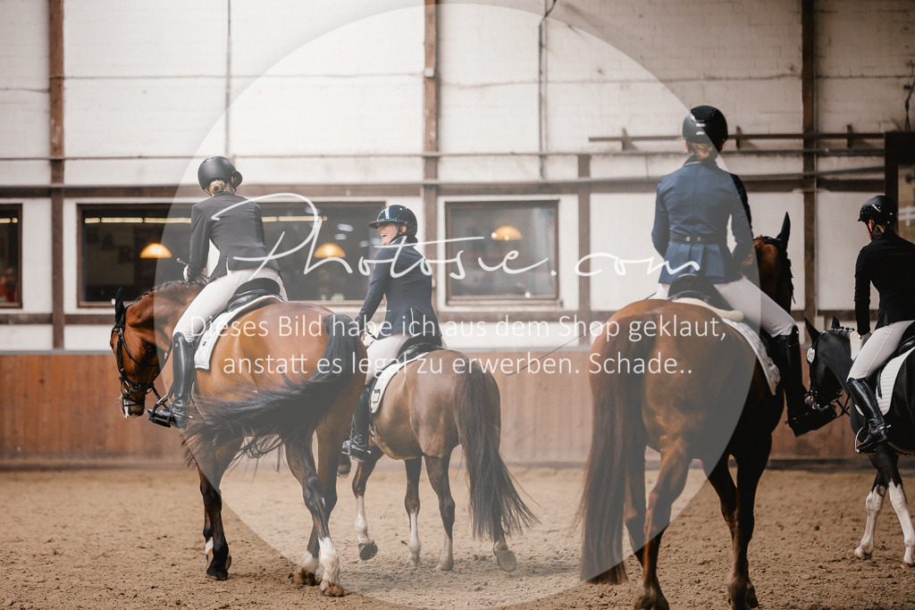 3I6A7405 | Stimmungsvolle Portraits und Reitsportfotografie im Ruhrgebiet und im Münsterland.

Pferdefotografie, Hundefotografie, Tierfotografie, Reportagen, Portraits von Tier und Mensch, Turnierfotografie in Bochum, Recklinghausen, Marl, Haltern am See, Dülmen.. - Realisiert mit Pictrs.com