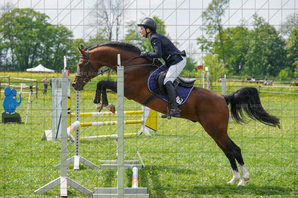 20240509-FAH02853 | Turnierbilder der Turnierfotografen Bayern, Pferdesport Fotografie, Reitsportbilder, Turnier Landberg am Lech, Turnierbilder bayern, Fotoagentur Herrmann