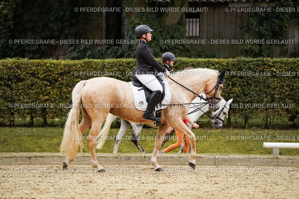 DSC09876 | Pferdegrafie