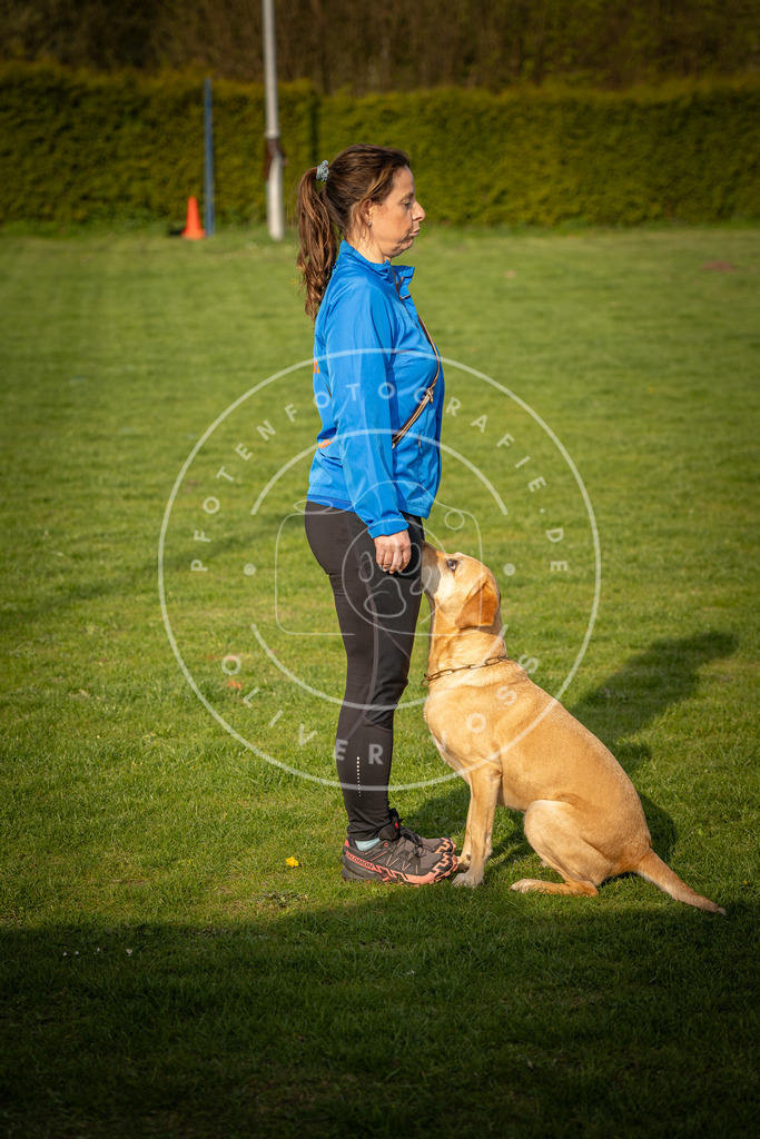 Pfotenfotografie_DV3A4781 | Hundefotografie, Tierfotograf, Pfotenfotografie, Fotoshooting Hund, Hunde Portrait, Hundesport, Hundeportraits, Heideshooting, Hunde, Sportfotograf, Hundefotograf, Turnierhundsport, THS,  - Realisiert mit Pictrs.com