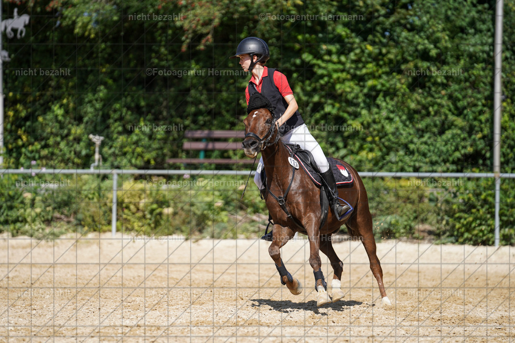20240824-FAH08333 | Thierhaupten 2024, Bayerisches Landesponyturnier, Turnierbilder, Ponybilder, Turnierfotografen Bayern, Fotoagentur Herrmann