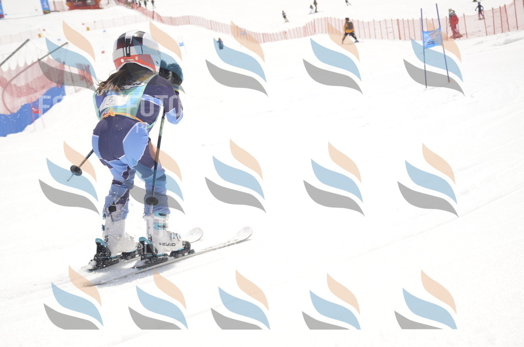 _ELE8486 | holidayphoto