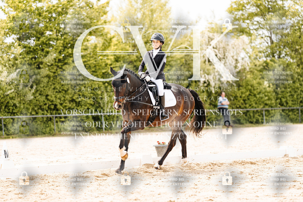 CK902520 | Turnierfotografie Pferdefotografie Trier Rheinland-Pfalz Pferdesport Reitsport Tierfotografie Sportfotografie Pferdevideo Pferdevideografie Equestrianvideography equestrianphotography  - Realisiert mit Pictrs.com