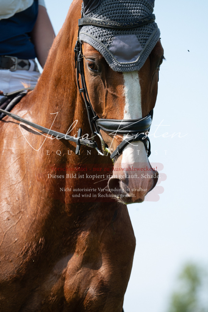 DSC_0907 | Pferde- und Turnierfotografie in Westsachsen. Pferdeportraits, Auftragszeichnungen und intuitive Kunst.