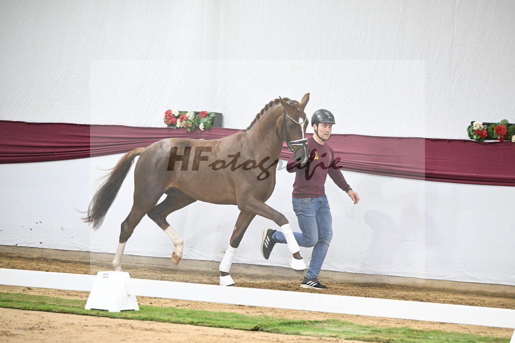 Kat-Nr. 138 Flashbang x Benetton Dream_Christian Gaeher_47251439 | hf-fotografie - Realisiert mit Pictrs.com