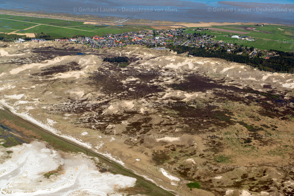 3801833 | Norddorf, Amrum, Nationalpark Schleswig-Holsteinisches Wattenmeer