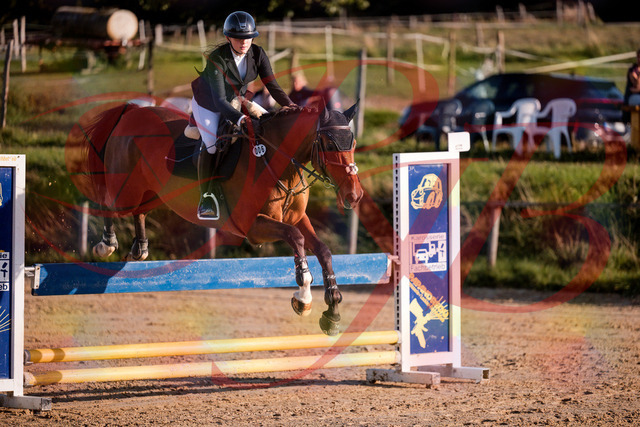 2026_10_03_Siefer-Hof_170922_Z81_06327771 | Professionelle Reitsport-, Turnier- und Eventfotografie von Robert Broda. Galerien mit ausgewählten und bearbeiteten Bildern direkt online ansehen und bestellen.