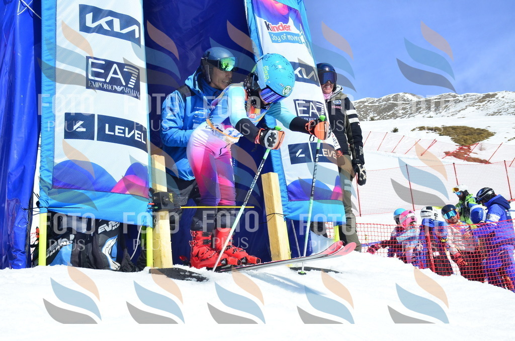 _ELE0908 | holidayphoto