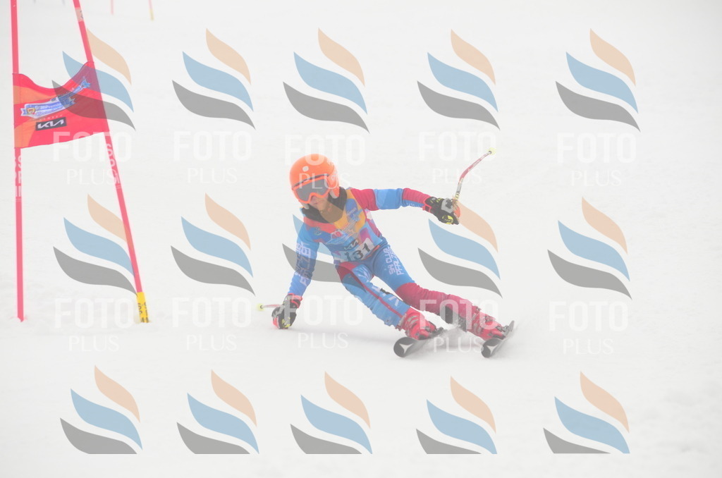 C1631 | holidayphoto