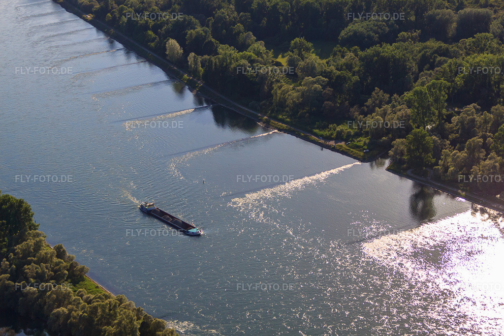 Luftbild: Frachtschiff auf dem Rhein in Neuburg am Rhein im Bundesland Rheinland-Pfalz in Deutschland. Foto: IMG_66548.jpg vom 05.06.2014 durch Werner Riehm/FLY-FOTO.de