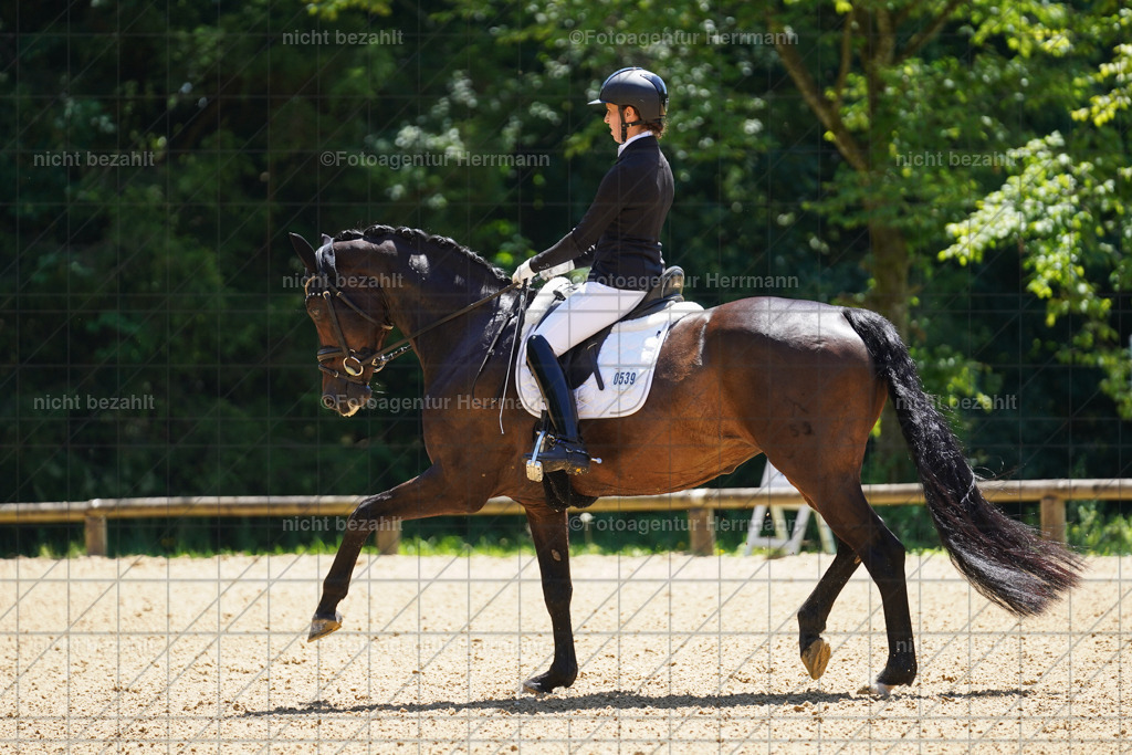 20240705-FAH03645 | Turnierbilder von Grafing, Reitsportbilder, Turnierfotos, Turnierfotografen Bayern, Pferdefotograf, Fotoagentur Herrmann