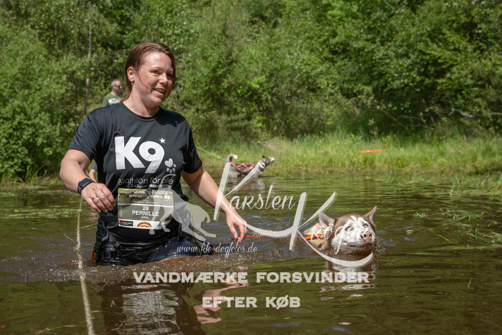 1218DKK992503 | kk-dogfotos