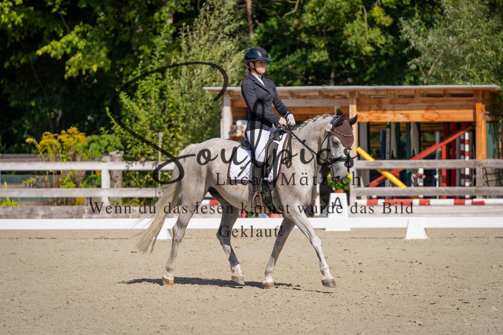A7V07038 | Turnier/Reitfotograf