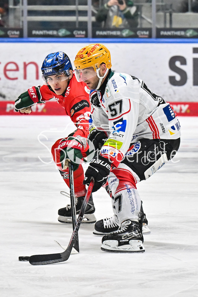 Augsburger Panther - Fischtown Bremerhaven | aUGSBURG, GERMANY - 25. JANUARY: im Duell Fabrizio PILU (Augsburger Panther 68) und Alxex FRIESEN (Fischtown Pinguins 57) während dem Match zwischen den Augsburger Panthern und den Fischtown Pinguins am 43. Spieltag der Penny DEL im Curt Frenzel Stadion