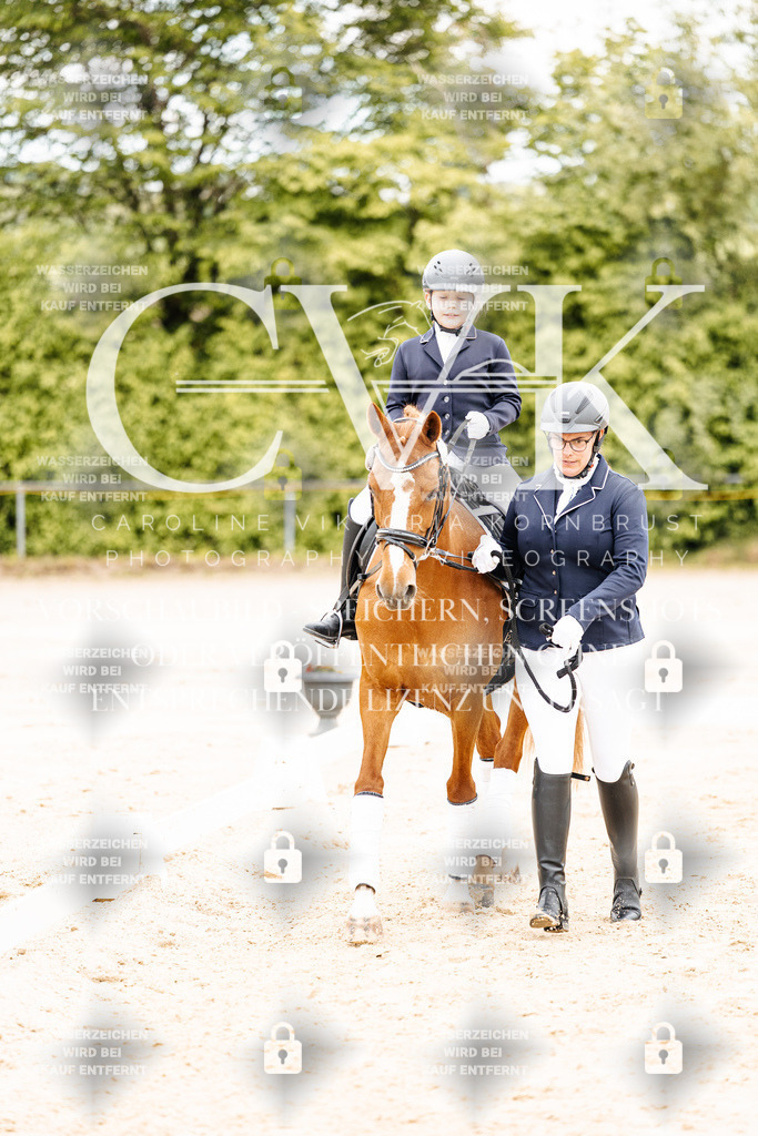 CK903677 | Turnierfotografie Pferdefotografie Trier Rheinland-Pfalz Pferdesport Reitsport Tierfotografie Sportfotografie Pferdevideo Pferdevideografie Equestrianvideography equestrianphotography  - Realisiert mit Pictrs.com