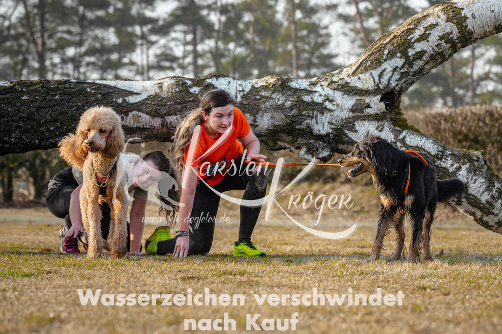 0834_ZZ95249 | kk-dogfotos