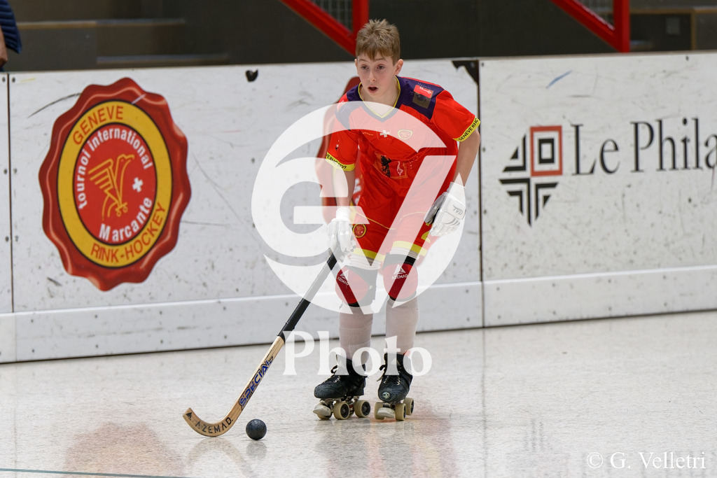 DSC_2422 | Velletri Photo