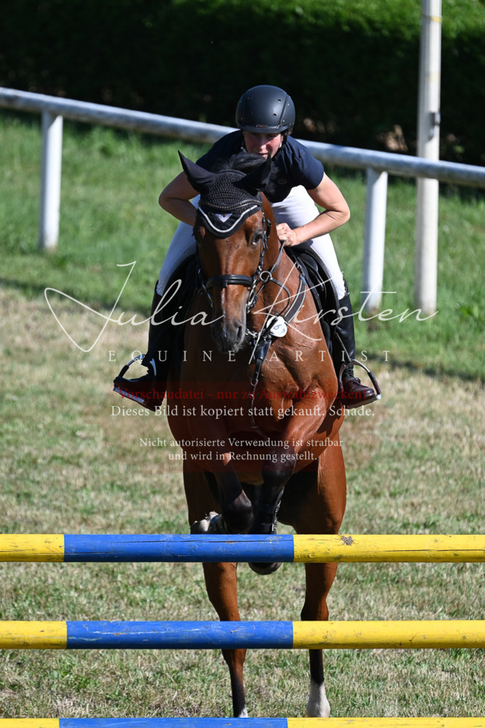DSC_2190 | Pferde- und Turnierfotografie in Westsachsen. Pferdeportraits, Auftragszeichnungen und intuitive Kunst.