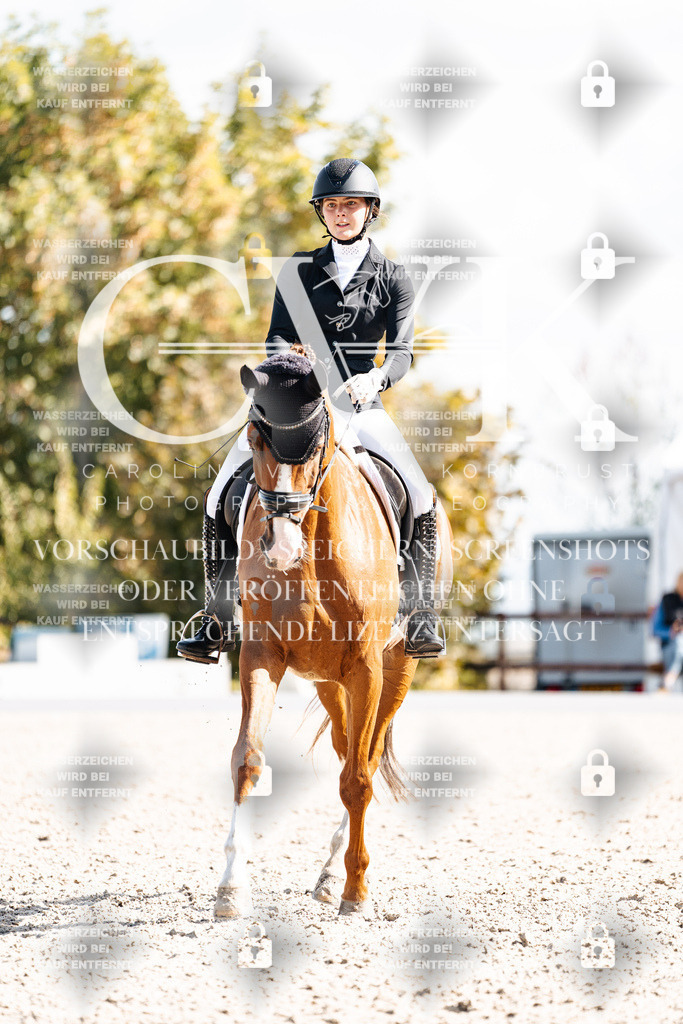 CK902249 | Turnierfotografie Pferdefotografie Trier Rheinland-Pfalz Pferdesport Reitsport Tierfotografie Sportfotografie Pferdevideo Pferdevideografie Equestrianvideography equestrianphotography  - Realisiert mit Pictrs.com