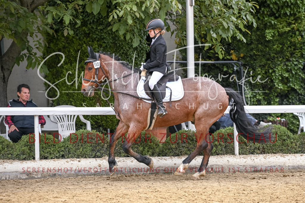 Schugtsche-Aluta25-46.ReiterWB_STG-93 | Schugtsche Fotografie - Realisiert mit Pictrs.com