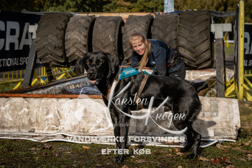 1355_ZZ93441 | kk-dogfotos