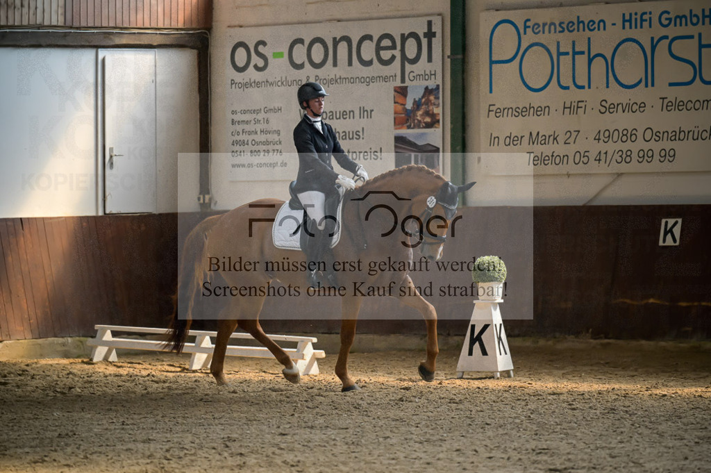 Reitturnier Voxtrup | Entdecke hochwertige Reitturnierfotos von Foto Oger. Professionell, emotional und authentisch – jetzt Lieblingsmomente im Shop bestellen.Deutschlandweite Turnierfotografie. - Realisiert mit Pictrs.com