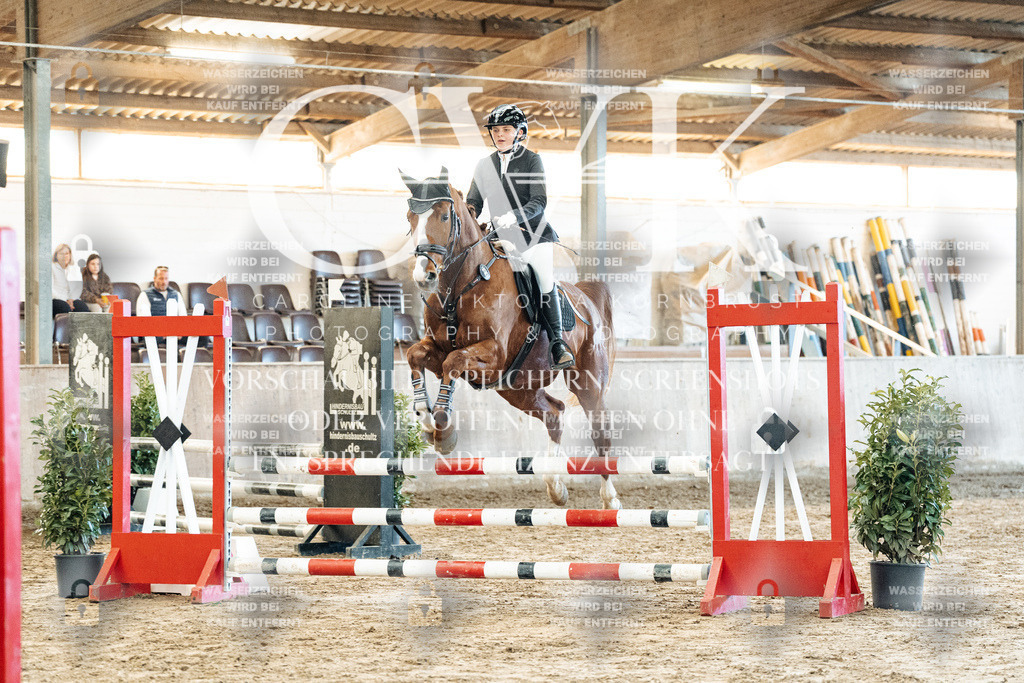 CK904113 | Turnierfotografie Pferdefotografie Trier Rheinland-Pfalz Pferdesport Reitsport Tierfotografie Sportfotografie Pferdevideo Pferdevideografie Equestrianvideography equestrianphotography  - Realisiert mit Pictrs.com