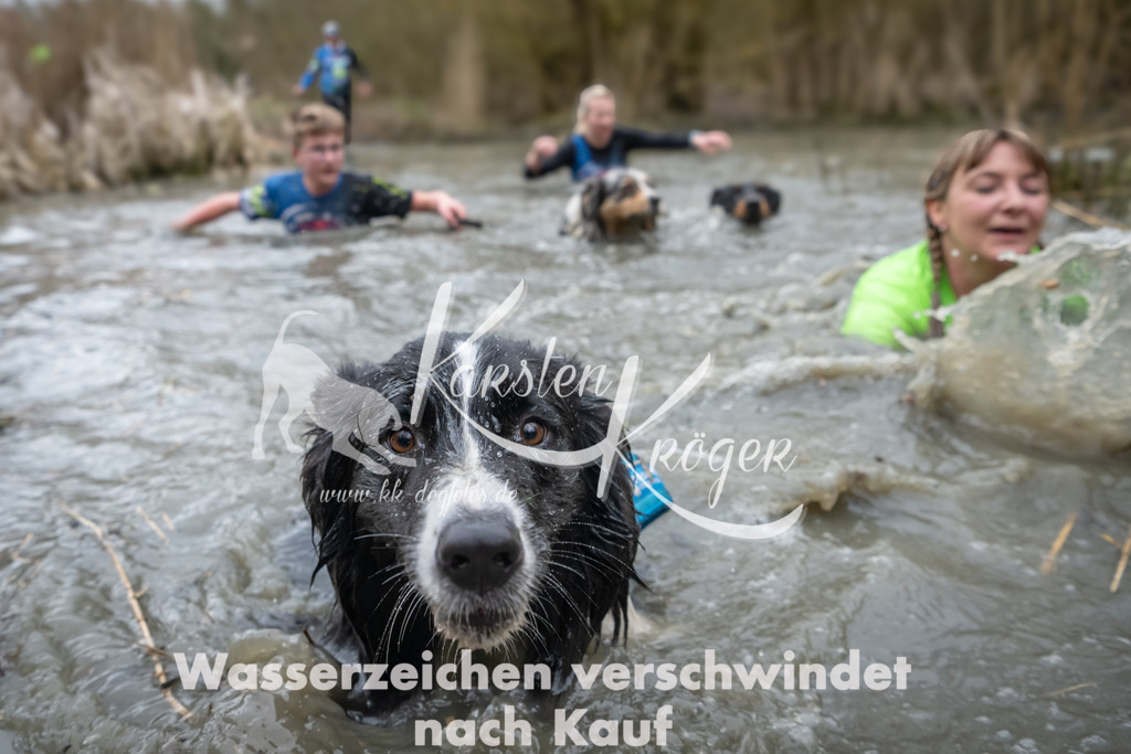 1053_ZZ93266 | kk-dogfotos