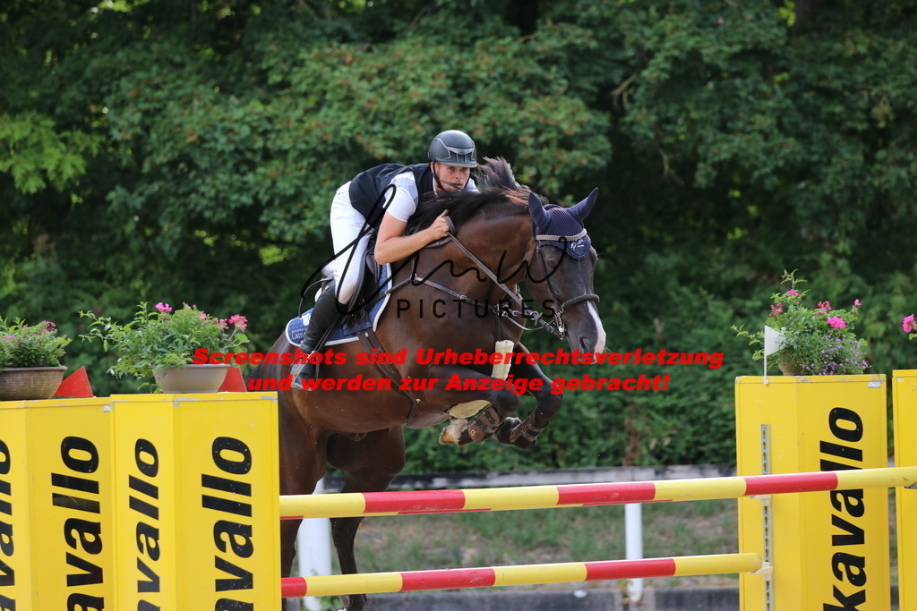 IMG_0978 | lmwpictures - Realisiert mit Pictrs.com