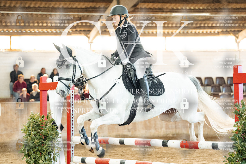 CK904615 | Turnierfotografie Pferdefotografie Trier Rheinland-Pfalz Pferdesport Reitsport Tierfotografie Sportfotografie Pferdevideo Pferdevideografie Equestrianvideography equestrianphotography  - Realized with Pictrs.com