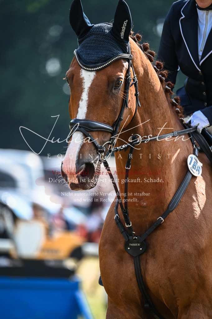DSC_7750 | Pferde- und Turnierfotografie in Westsachsen. Pferdeportraits, Auftragszeichnungen und intuitive Kunst.
