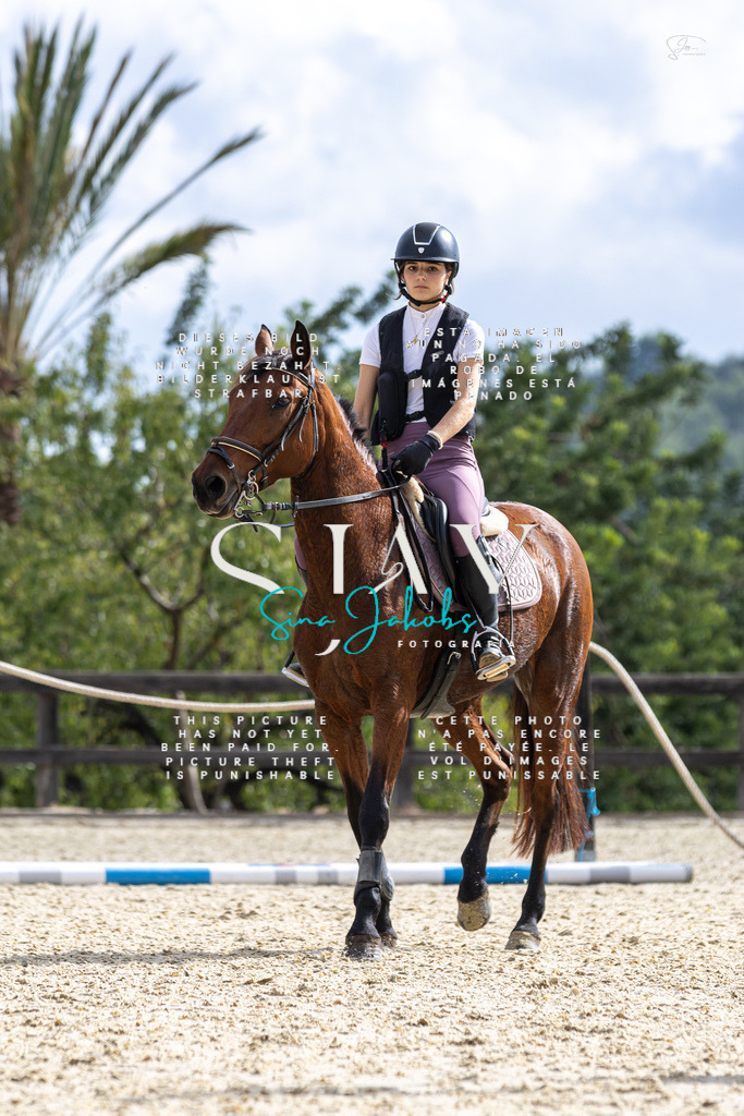 IMG_2629 | s-jay-photography - Realisiert mit Pictrs.com