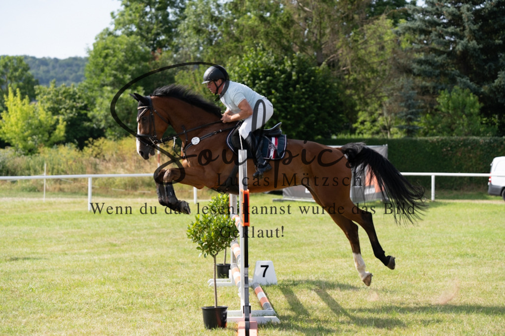 A7V01461 | Pferdefotograf