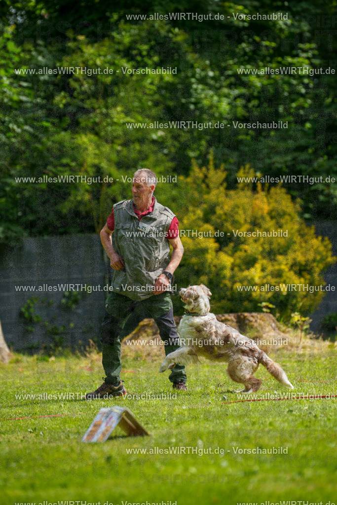 @allesWIRTHgut_Tierfotografie - www.allesWIRTHgut.de - 100233-7R507998 | Professionelle Tierfotografie in Mönchengladbach von Daniel Wirth (allesWIRTHgut). Liebevolle & natürliche Bilder von Hunden & Katzen für unvergessliche Erinnerungen.