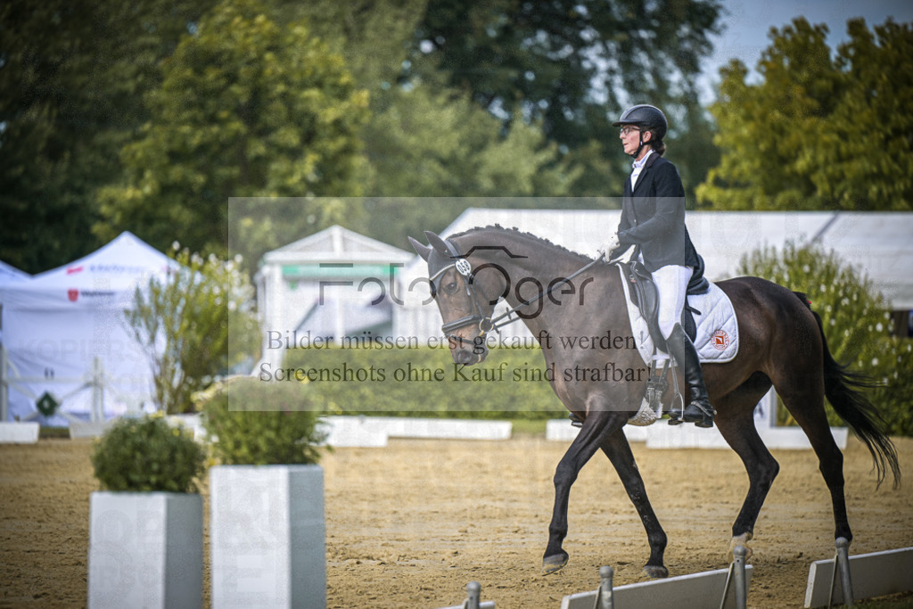 DOS_5969 | Entdecke hochwertige Reitturnierfotos von Foto Oger. Professionell, emotional und authentisch – jetzt Lieblingsmomente im Shop bestellen.Deutschlandweite Turnierfotografie. - Realisiert mit Pictrs.com